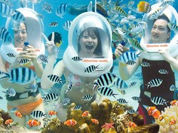 Bali Marine Walk Promo Harga untuk Jalan di Bawah Air