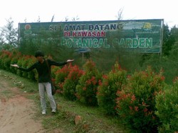 Bangka Botanical Garden, Oase Tersembunyi di Pulau Bangka