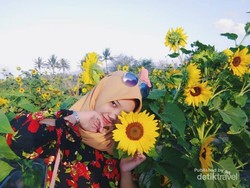 Bantul Punya Taman Bunga Secantik Ini?