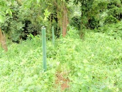 Banyak Air Terjun Cantik di Geopark Ciletuh Sukabumi