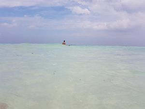 Beberapa Hari di Karimunjawa, Bisa Apa Saja?