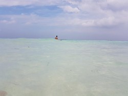 Beberapa Hari di Karimunjawa, Bisa Apa Saja?