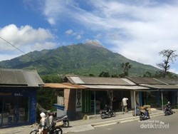 Begini Cara Mendaki Gunung Merbabu Lewat Jalur Selo