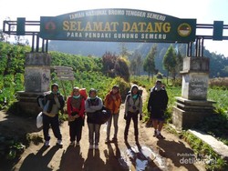 Begini Indahnya Edelweis di Ranu Kumbolo