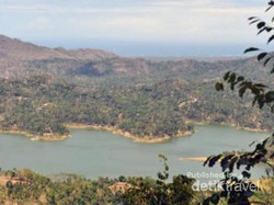 Begini Keindahan Desa Wisata Kalibiru di Yogyakarta