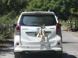 Begini Rasanya Traveling ke Timor Leste