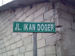 Begini Serunya Menyelam di Pulau Pramuka