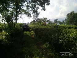 Begini Serunya Offroad di Bogor