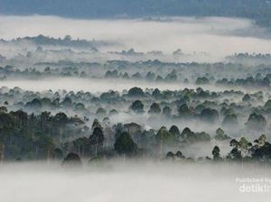 Begini Suasana Negeri di Atas Awan Liwa, Lampung