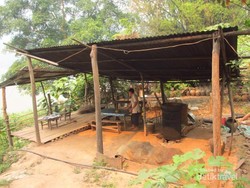 Beginilah Whisky Ular di Laos