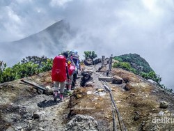 Belajar Makna Hidup di Gunung Gede Pangrango