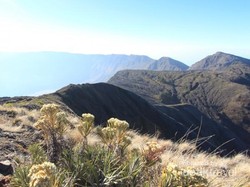 Belajar Tanggap Bencana dari Gunung Tambora