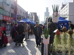 Belanja Barang Bekas di Korea Asyik Juga