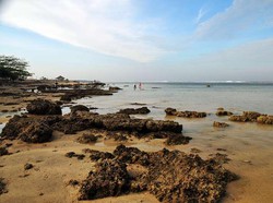 Berakhir Pekan dengan Penyu dan Pantai di Ujung Genteng