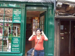 Berburu Kucing-kucing Misterius di York