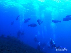 Berburu Objek Foto Bawah Air nan Menawan di Tulamben, Bali