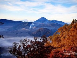 Berburu Sunrise yang Eksotik di Kawasan Bromo