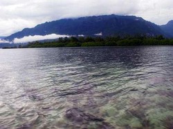 Berenang Yuk, di Kolam Raksasa Desa Sawai, Maluku