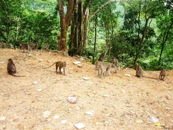 Berjemur Bareng Bule Berbikini di Gili Trawangan