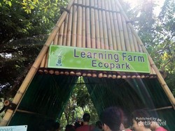 Berkebun dan Beternak Tak Pernah Seasyik Ini