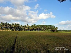 Berkunjung ke Pangandaran, Coba Serunya Body Rafting di Citumang