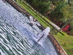 Berkunjung ke Prancis Sampai Jepang di Colmar Tropicale, Malaysia