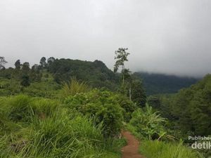 Berkunjung ke Suaka Elang di Bogor yang Jarang Orang Tahu