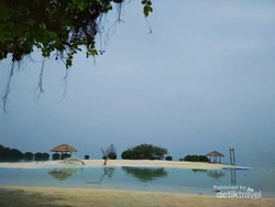 Bermain dengan Bintang Laut di Pulau Pari