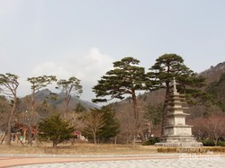 Bersorak Ria di Gunung Seorak, Korea Selatan