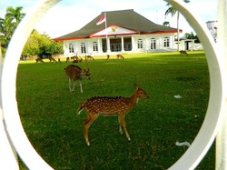 Bertamu ke Rumah Gubernur Jenderal Inggris di Bengkulu