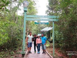 Bertamu ke Rumah Orangutan di Kalimantan Barat