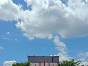 Bertemu Bung Karno di Palangka Raya