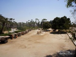 Bertemu Firaun Ramses II di Memphis, Mesir