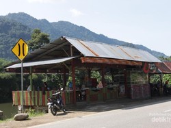 Bertemu Ikan Larangan di Sumbar