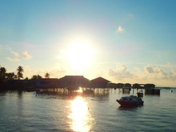 Bertemu Manta Sampai Ubur-ubur Tak Menyengat di Derawan