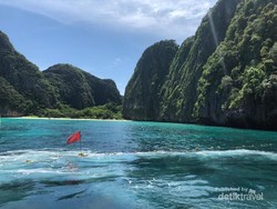 Bertemu Nemo & Keluarganya di Phi-phi Island