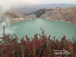 Bertualang ke Kawah Ijen