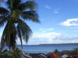 Bertualang Sendirian ke Wakatobi