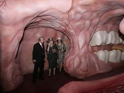 Berwisata ke Dalam Tubuh Manusia, Berani?