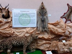 Berwisata Sambil Belajar di Museum Bea Cukai Taiwan