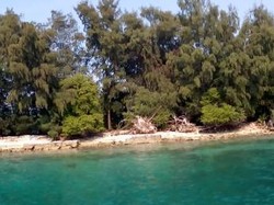 Bisa Banget, Liburan Bareng Buah Hati ke Pulau Pramuka