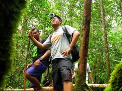 Blusukan Bareng Orangutan & Babi Hutan di Kalimantan Tengah