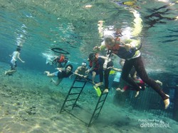 Bosan Snorkeling di Laut? Coba di Air Tawar!