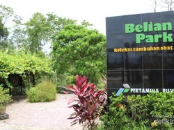 Bukan Bogor, Ini Kebun Raya di Balikpapan