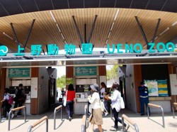 Bukan China, Ini Panda Raksasa di Jepang