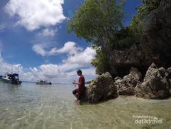 Bukan Cuma Danau Ubur-ubur, Pulau Kakaban Juga Punya Laguna Cantik