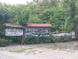 Bukan di Kalimantan, Ini di Bali