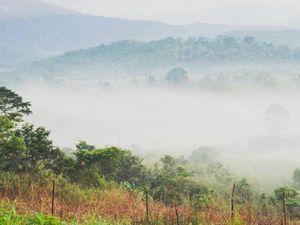 Bukan di Luar Negeri, Ini Savana di Sulawesi Tengah