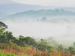 Bukan di Luar Negeri, Ini Savana di Sulawesi Tengah