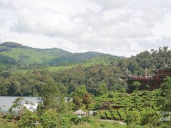 Bukan di Switzerland, Ini di Ciwidey